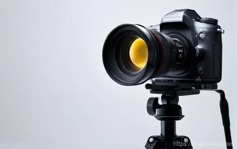 기니비사우에서의 예술 축제와 문화 행사 관련 이미지 1